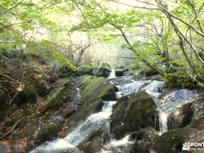 Valle Sakana-Sierras Navarra; fotos montañas refugio de aliva pico peñalara laguna de la nava rutas 